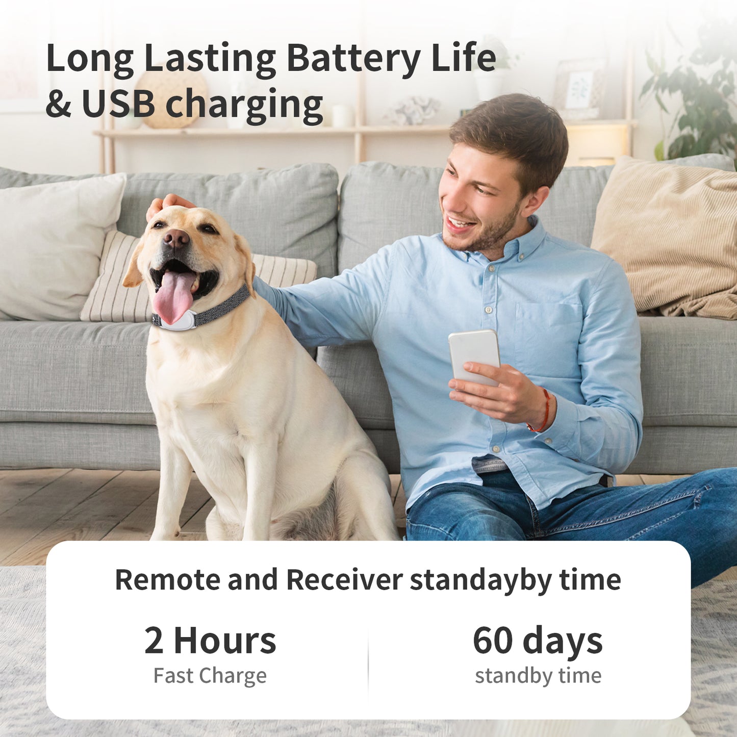 manufacturer Dog Collar Waterproof Rechargeable Electric Electronic Shock Vibration Voice Pet Dog Training Collar With Remote(E1-3Receivers)