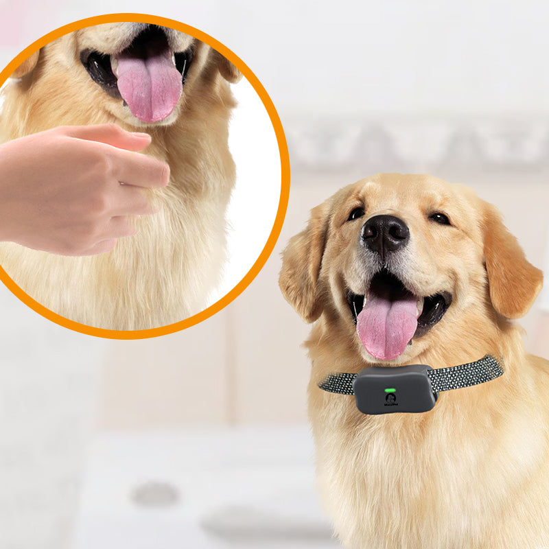 Mimofpet Dog training Collar,4000Ft Range Dog Training Collar with  Remote,185 Days Stand Time,Waterproof and Rechargeable E Collar with Beep, Vibration, Shock, Light and Keypad Lock for Large Medium Small Dogs（X1）