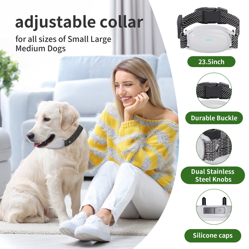 Mimofpet Dog training Collar with Remote - 1000FT Dog Training  Collar with 3 Training Modes, Beep, Vibration, Shock, IPX7 Waterproof Rechargeable Electric Collar for Medium Large Dogs（E1-4Receivers）